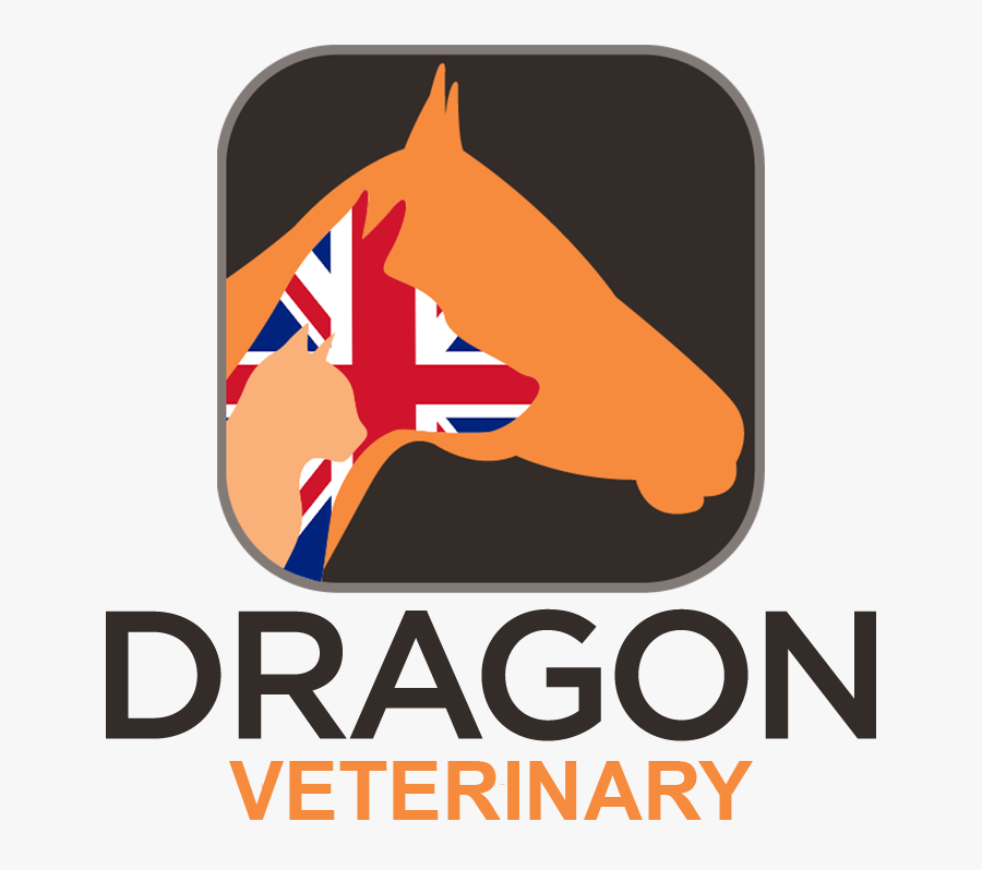 Poster, Transparent Clipart