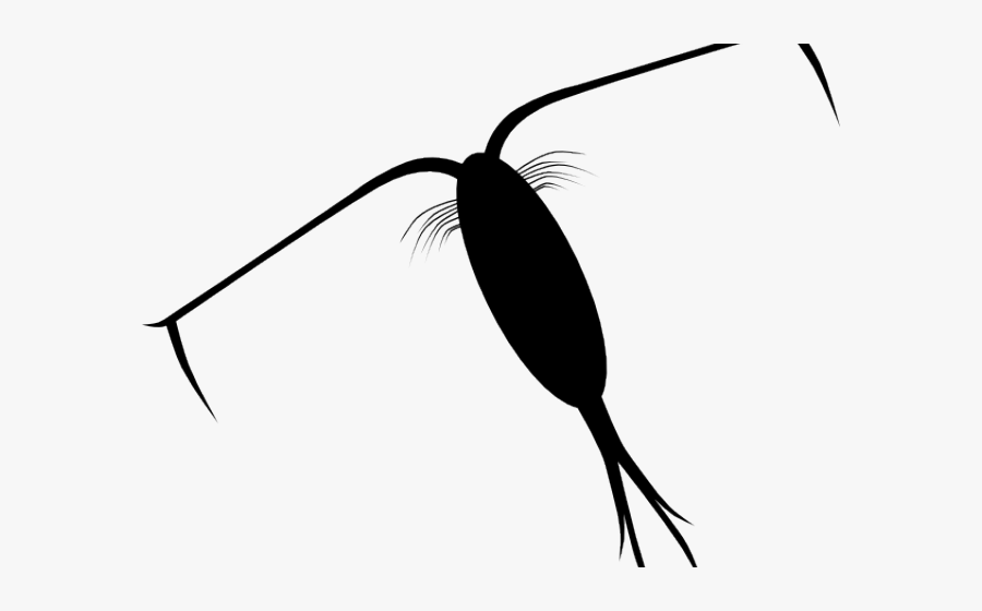 Png Download , Png Download - Black Plankton Png, Transparent Clipart
