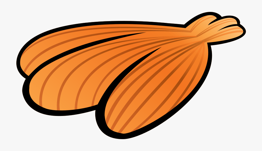 Plasmid Vector - Beach Seashells Cartoon Clipart Transparent, Transparent Clipart