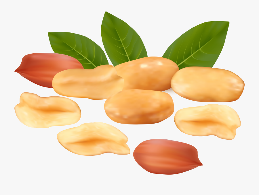 Peanuts Png Clipart - Nuts Png Clipart, Transparent Clipart