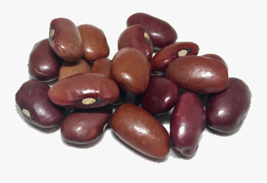 Png Transparent Images Pluspng - Single Kidney Bean Transparent Background, Transparent Clipart