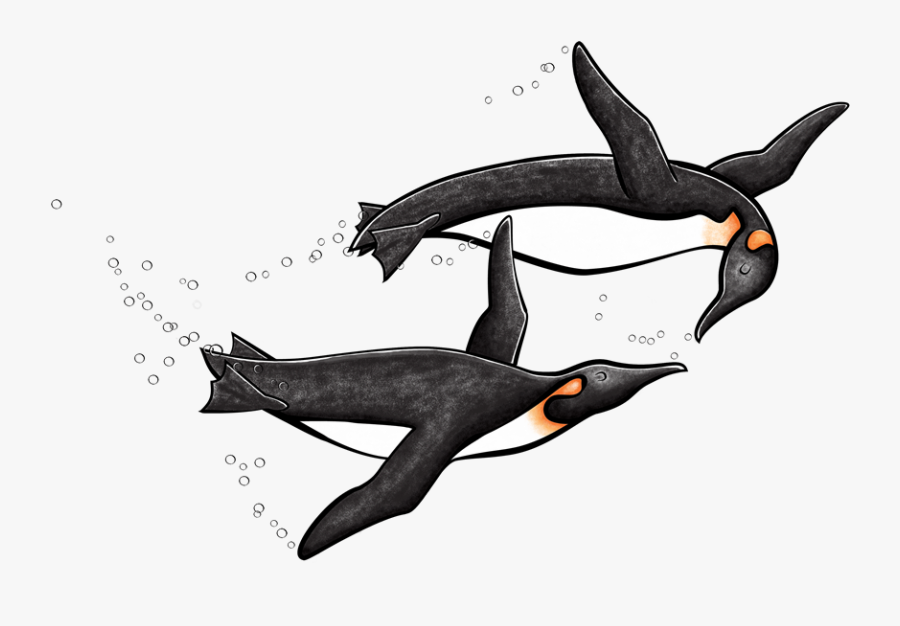 Antarctica Drawing King Penguin Transparent Png Clipart - King Penguin, Transparent Clipart