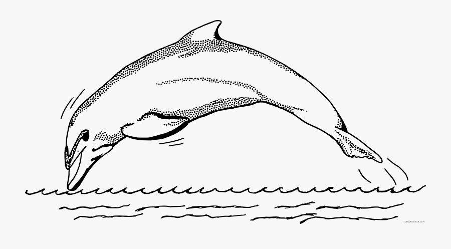 Dolphin Clipart Black And White - Dolphin Fish Clip Art Black And White, Transparent Clipart