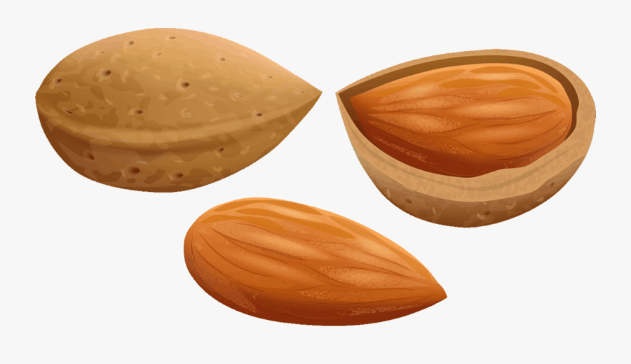Almond Png - Almond Png Clipart, Transparent Clipart