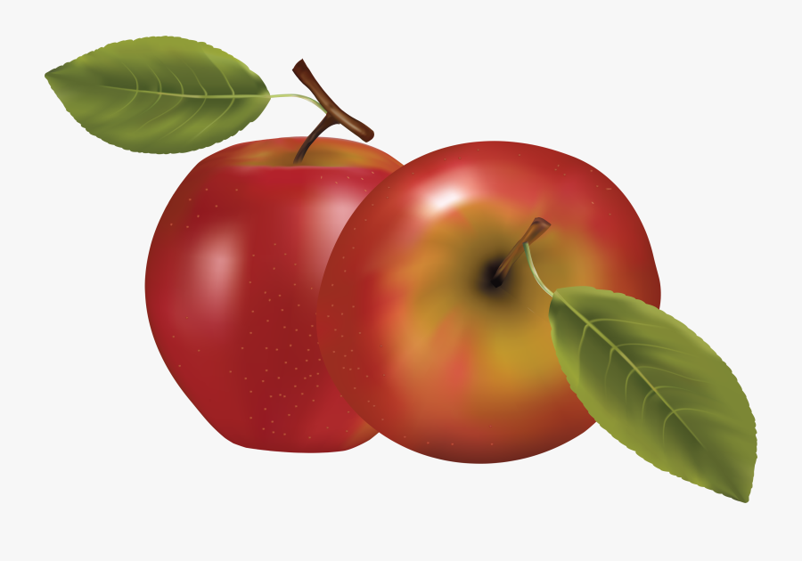 Apples Clipart Png - Fruits Plum Apples Apricots, Transparent Clipart