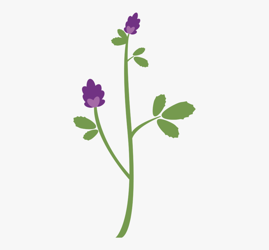 Alfalfa Hay Pellets - Buttercup, Transparent Clipart