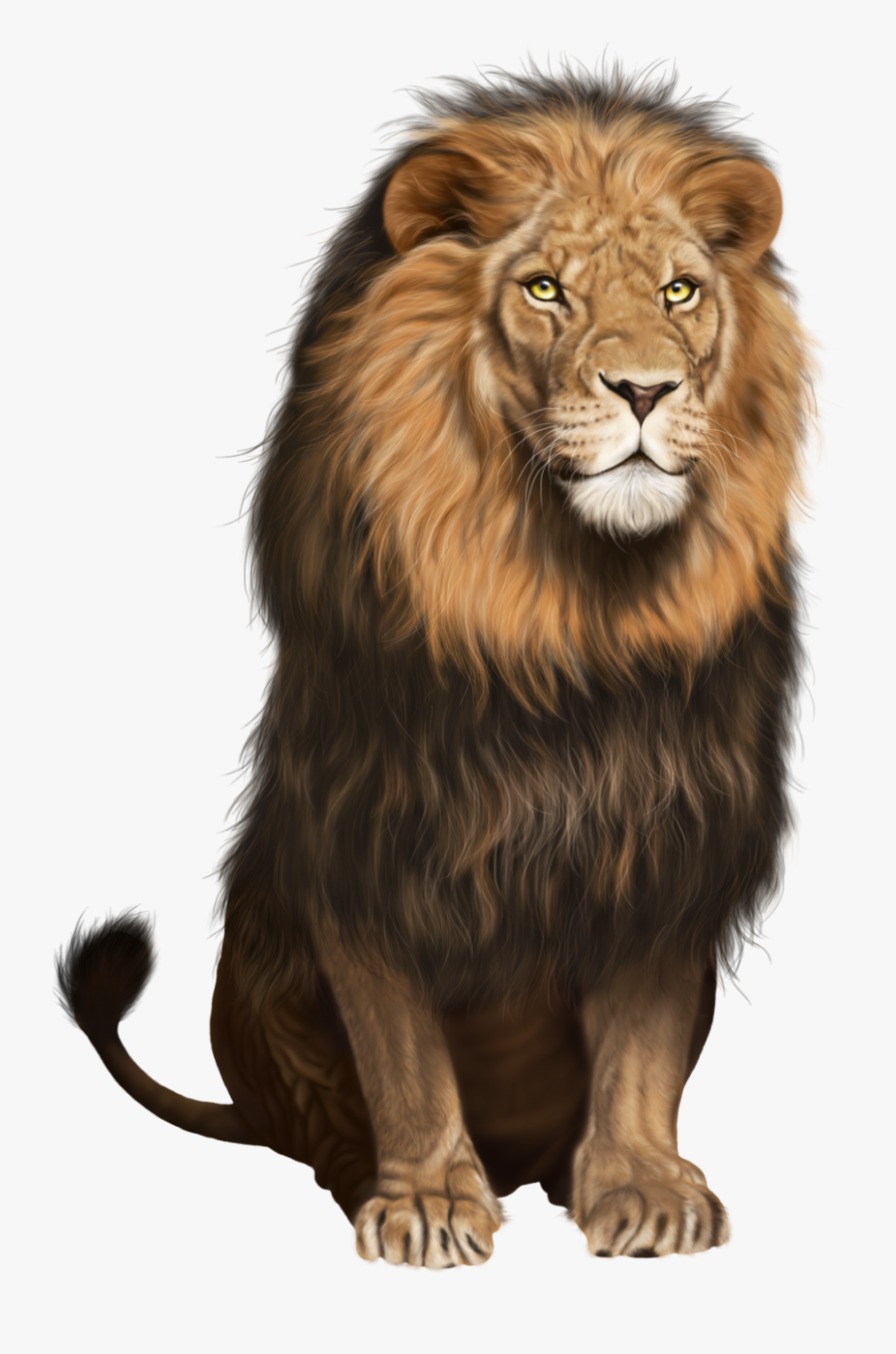 Lion Png, Transparent Clipart