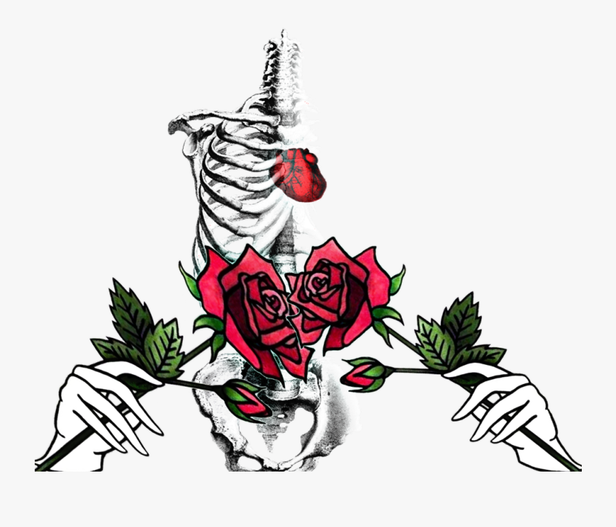 #love #bones #skull #rose #dead #heart - Illustration, Transparent Clipart