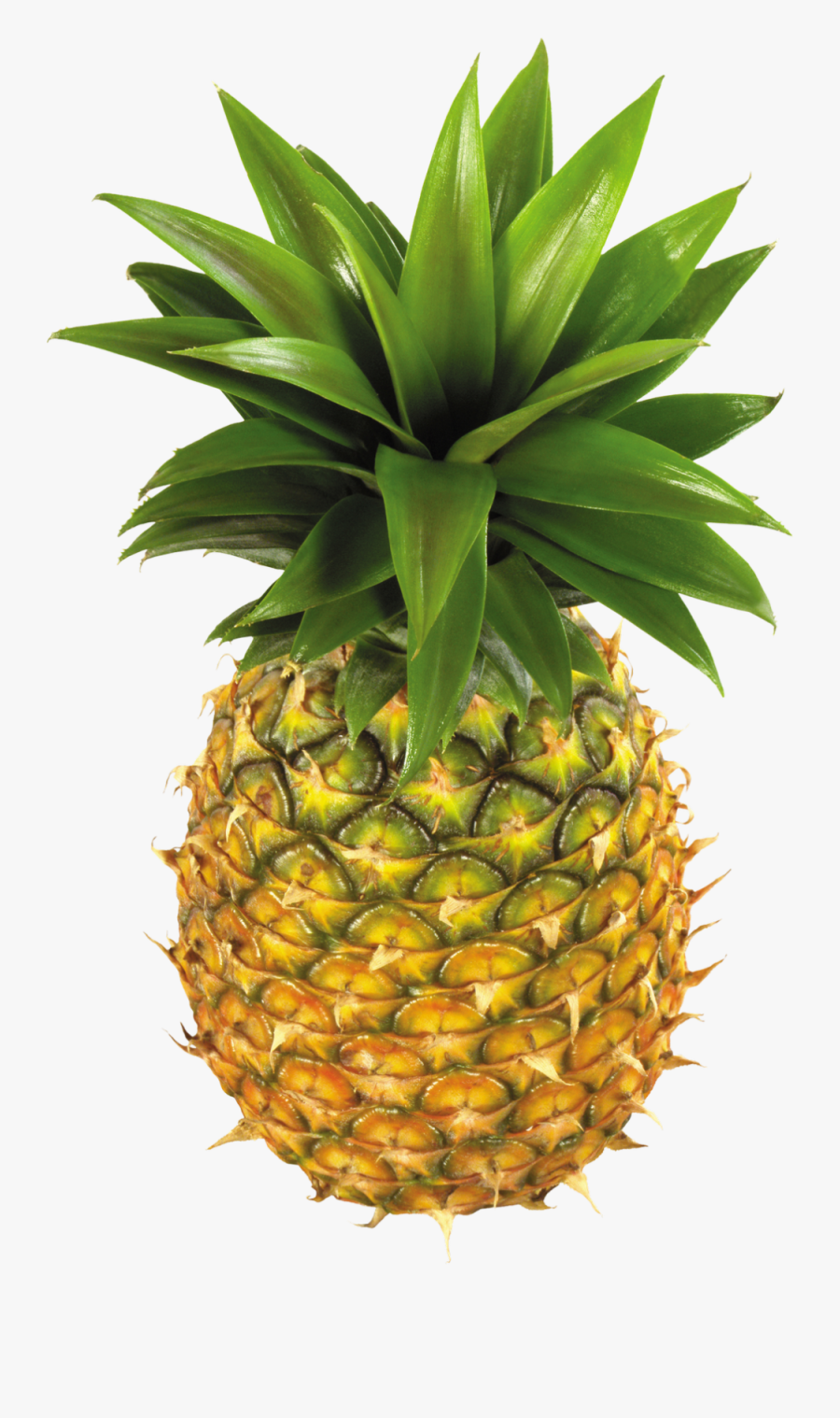 Transparent Background Pineapples Fruit, Transparent Clipart