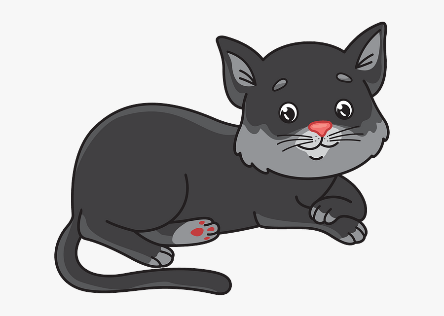 Domestic Short-haired Cat, Transparent Clipart