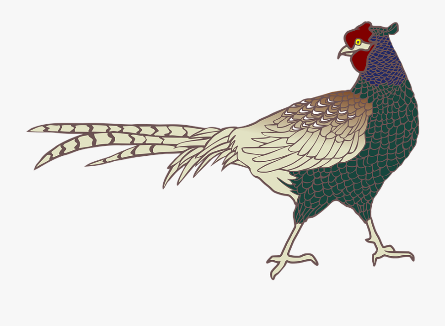 Green Pheasant Bird Png, Transparent Clipart