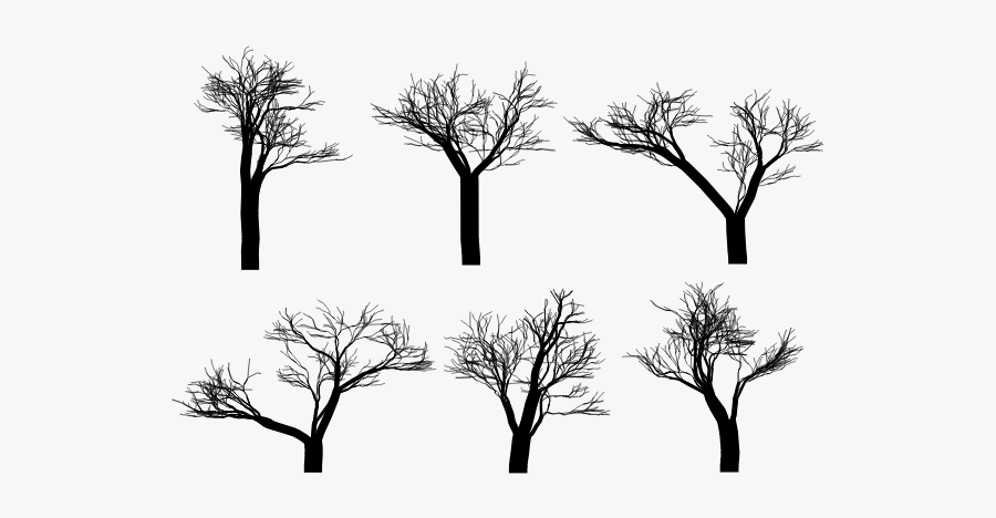 Tree Silhouettes - Silhouette, Transparent Clipart