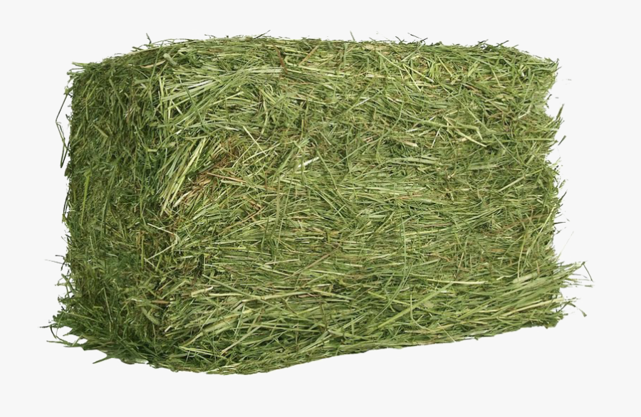 Square Hay Png Free Download - You Ve Heard Of Elf On A Shelf, Transparent Clipart