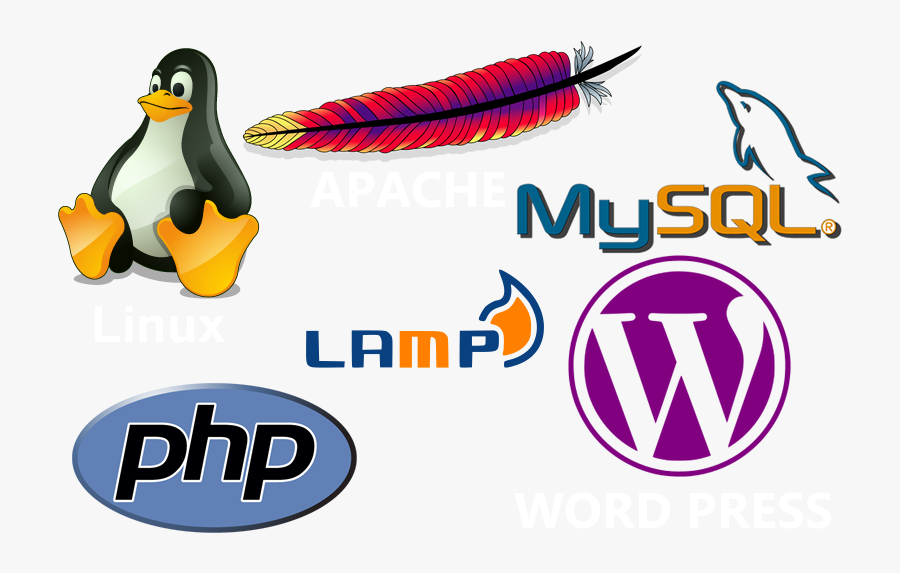 Transparent Lamp Of Learning Clipart - Mysql Logo Transparent Background, Transparent Clipart