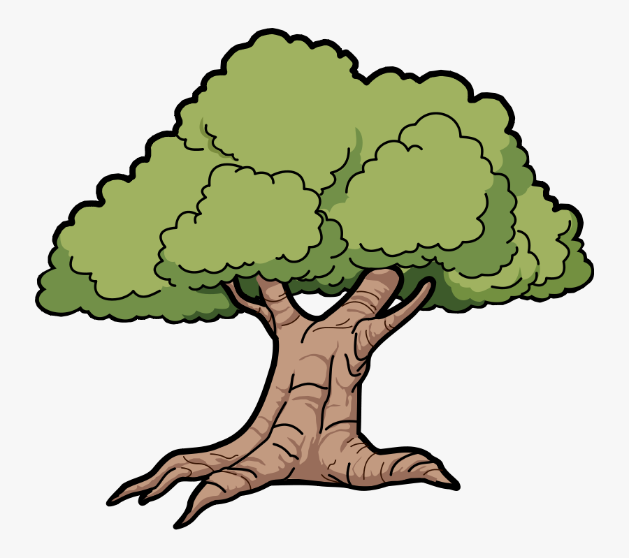 Narra Tree Clipart, Transparent Clipart