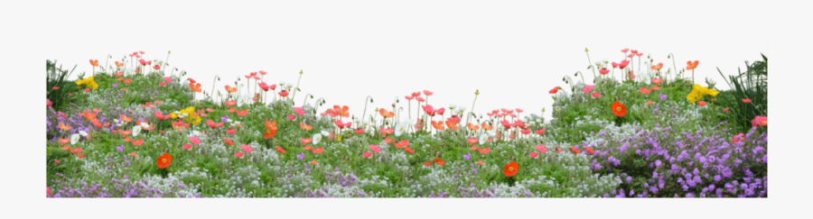 #flowers #field #freetoedit - Transparent Flower Field Png, Transparent Clipart