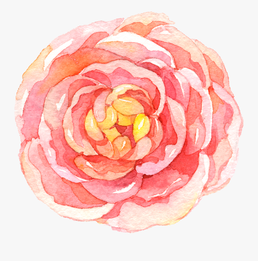 Japan Clipart Watercolor - Watercolor Camellia Flower Drawing, Transparent Clipart