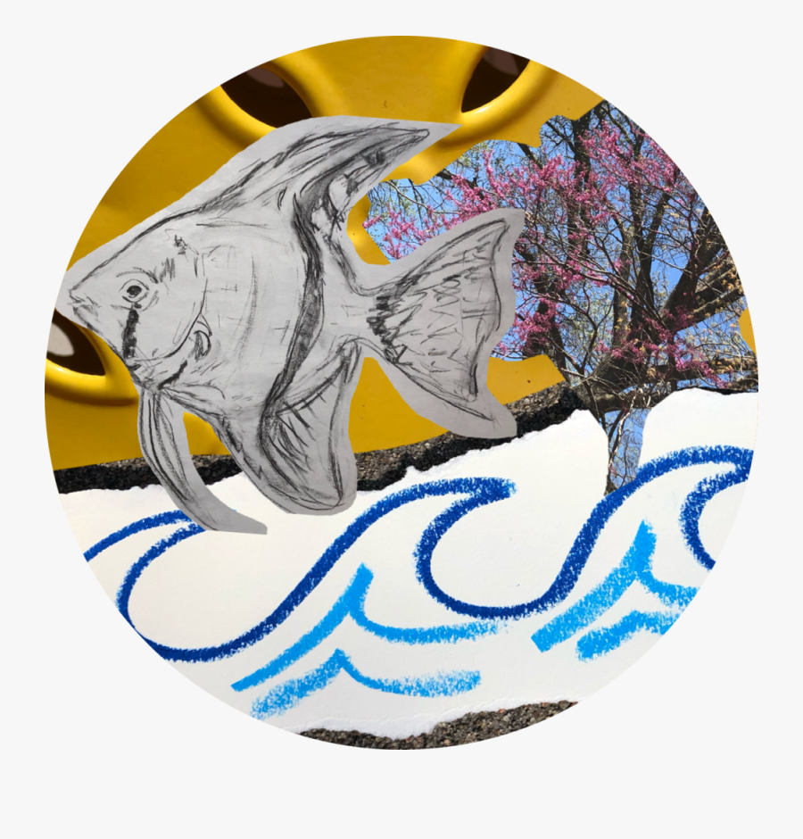 Fish, Transparent Clipart