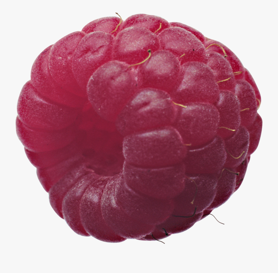Rasberry Png Image, Transparent Clipart