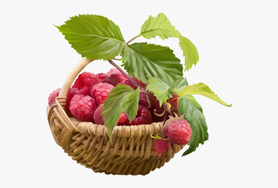 Panier De Framboises Png, Tube - Fruit In Basket Png, Transparent Clipart