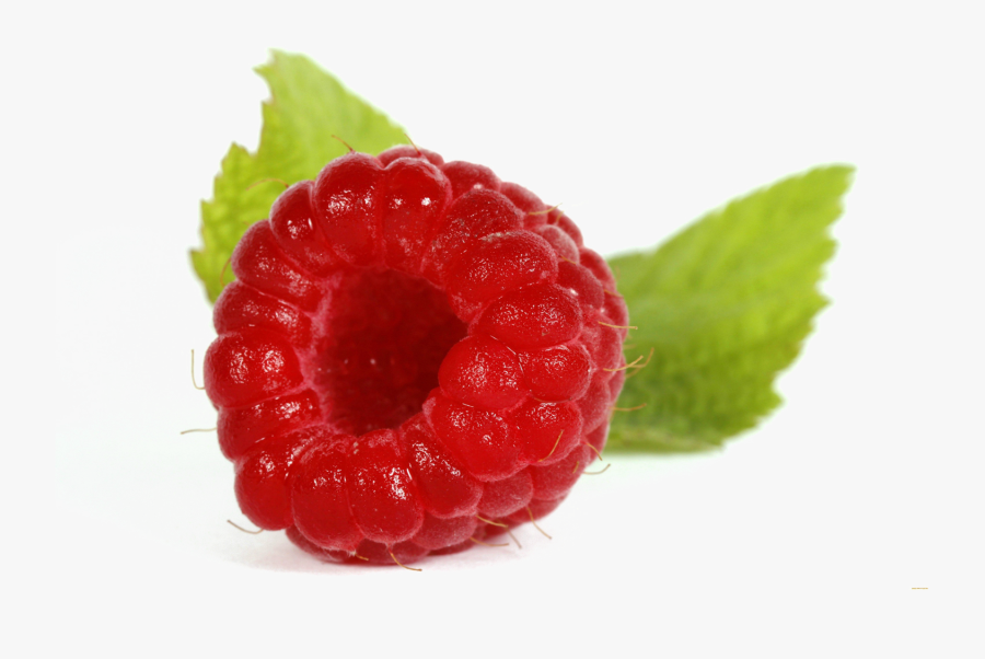 Single Raspberry Png Image Background, Transparent Clipart