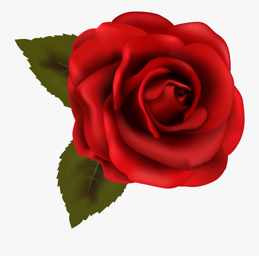 Rose Red Clip Art - Transparent Background Rose Clipart, Transparent Clipart