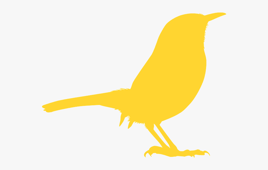Songbird, Transparent Clipart