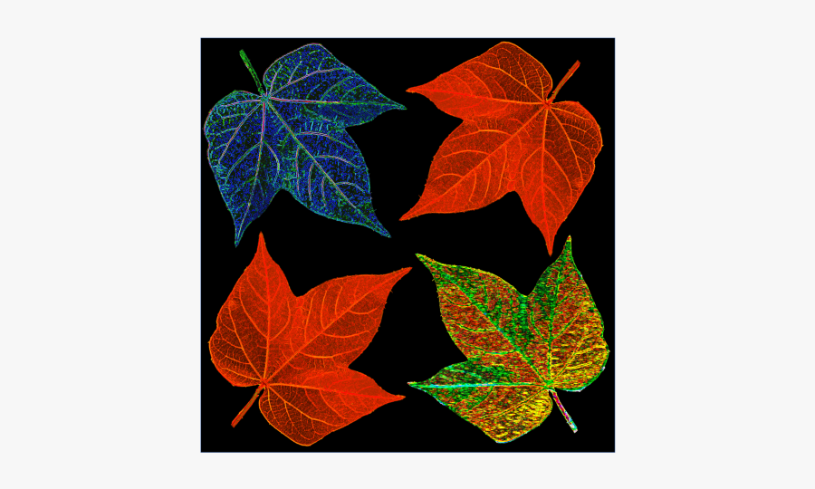 January 30 Demo Cool Plant Tech With The Founder Of - Creative Arts, Transparent Clipart