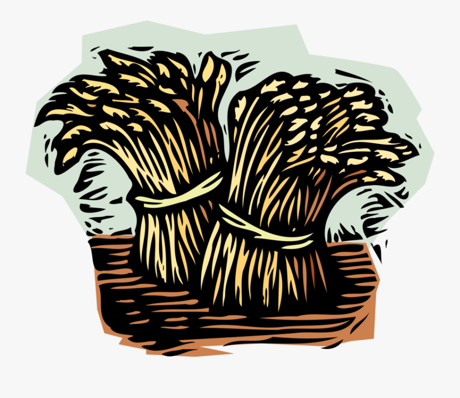 Vector Illustration Of Wheat Sheaves Sheaf Bundles - Sheaves Of Wheat, Transparent Clipart