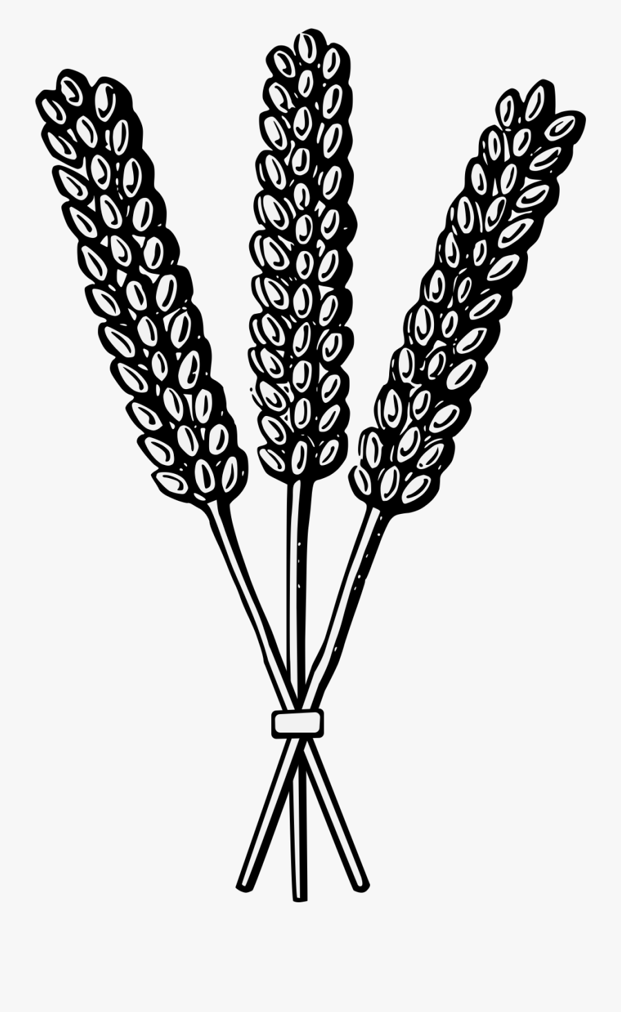 Wheat Heraldry, Transparent Clipart