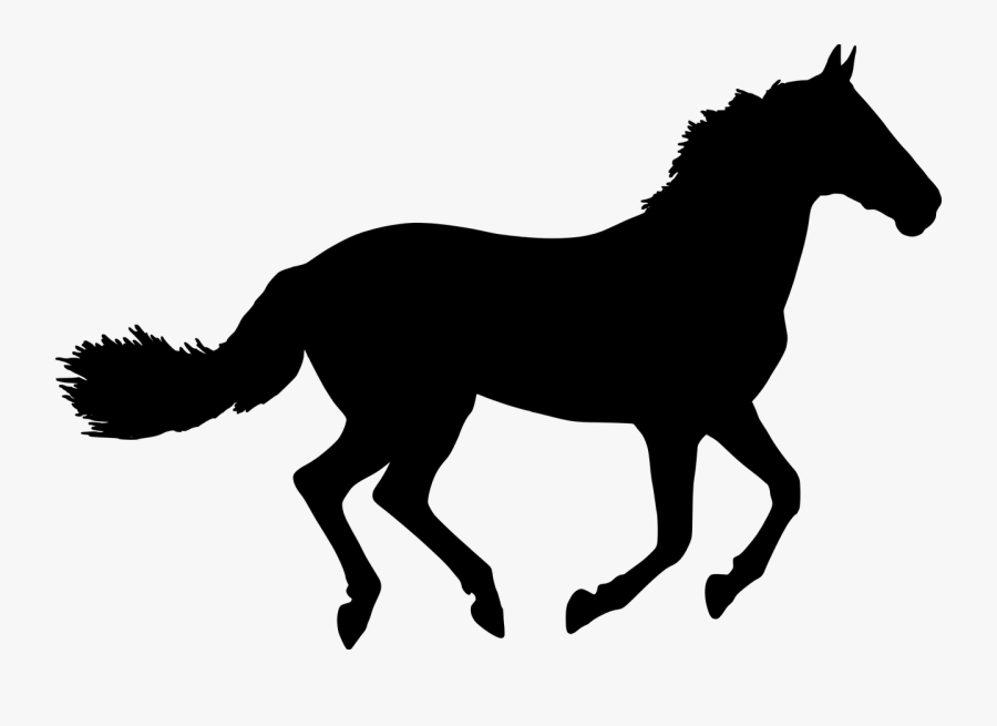 Vector Graphics,free Pictures, Free Photos, - Transparent Horse Silhouette, Transparent Clipart