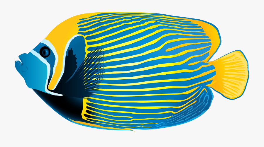Emperor Angelfish Png Transparent Clip Art Image - Angel Fish Clipart Png, Transparent Clipart