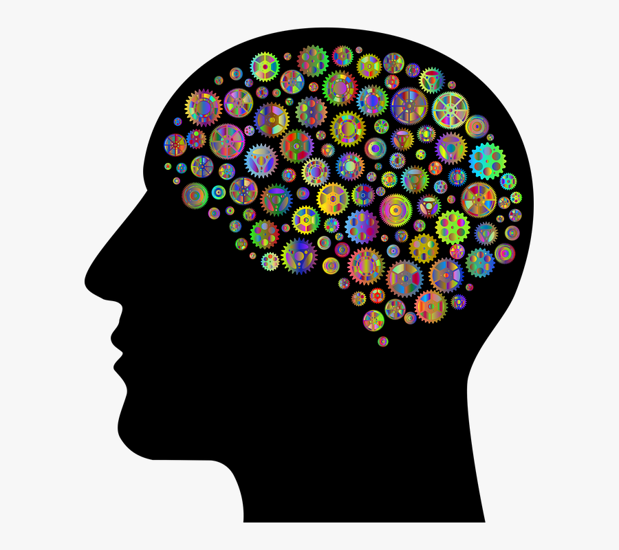 Head With Brain Clipart, Transparent Clipart