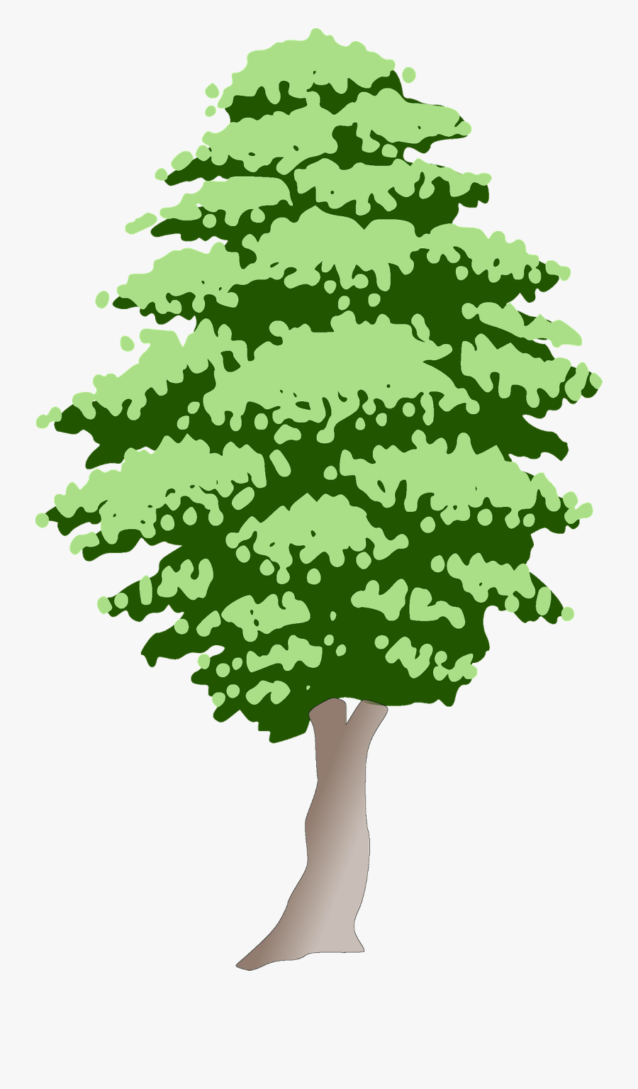American Holly, Transparent Clipart