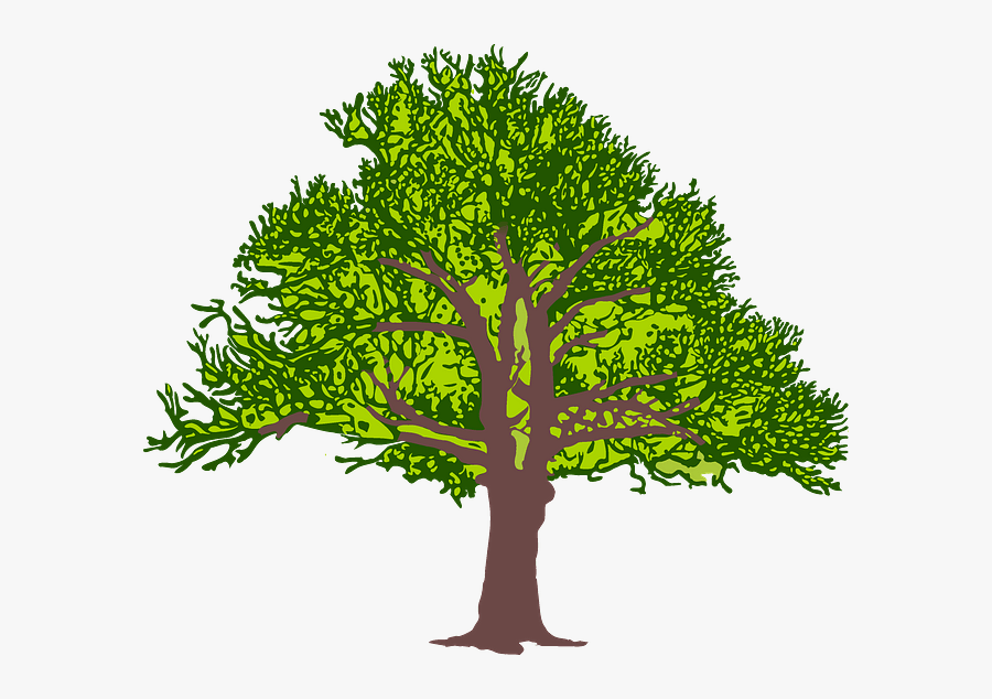 High Resolution Clipart Tree Silhouette, Transparent Clipart