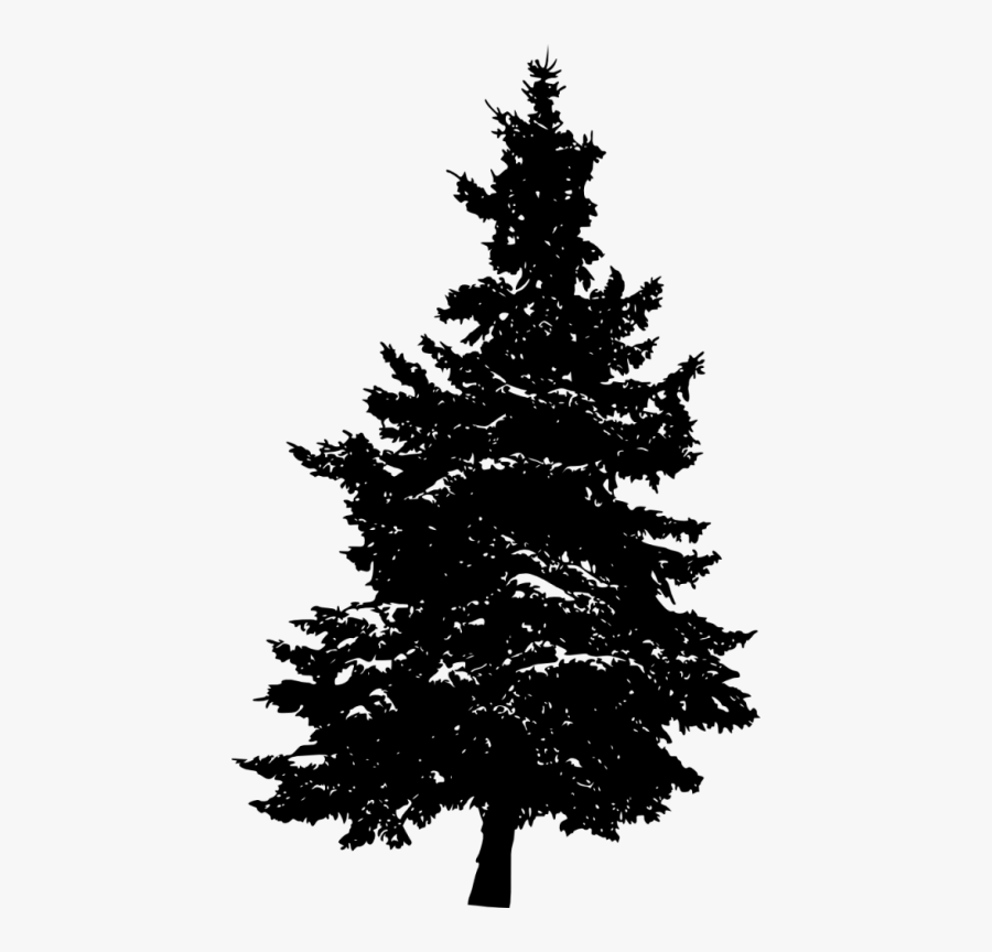 Eastern White Pine Fir Tree Evergreen - Pine Tree Silhouette Png, Transparent Clipart