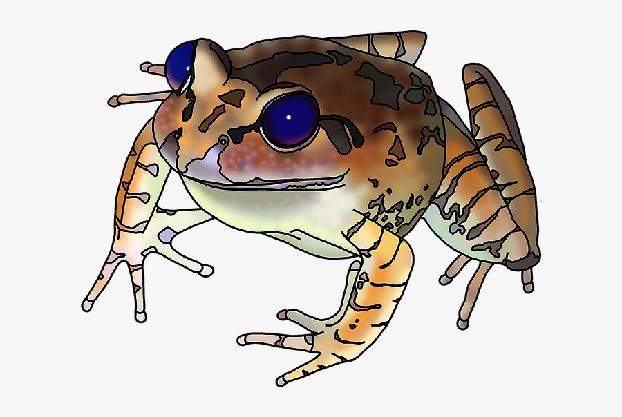 Portable Network Graphics, Transparent Clipart