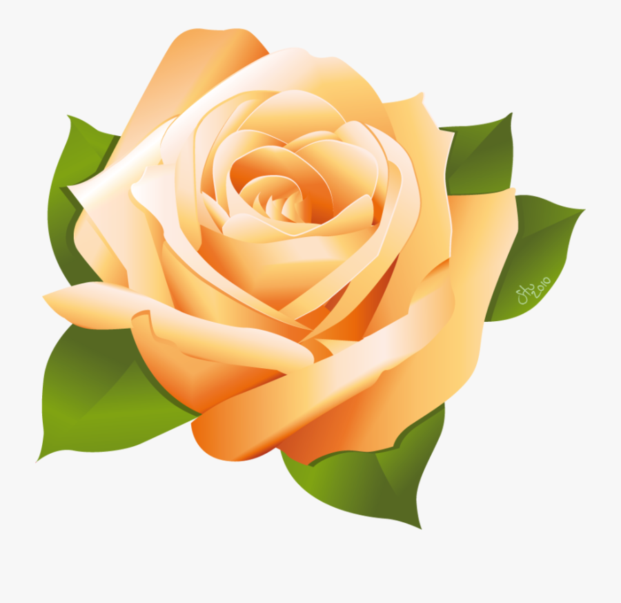 Rose Vector By Stoobainbridge Free Vectors Rose - Yellow Rose Vector Png, Transparent Clipart