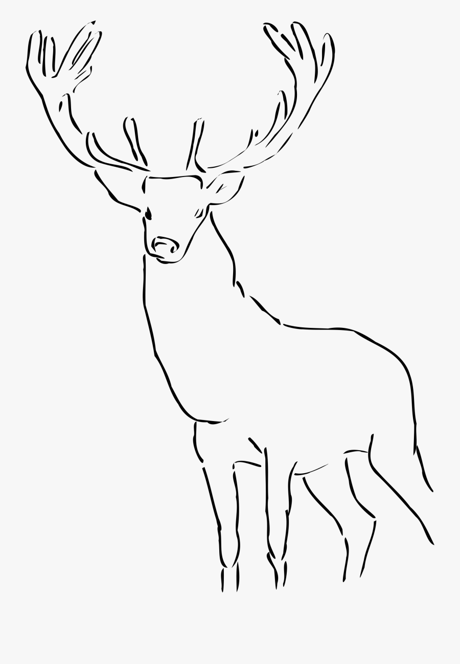 Red Deer Pronghorn Antelope Moose - Reindeer Clip Art Black And White, Transparent Clipart