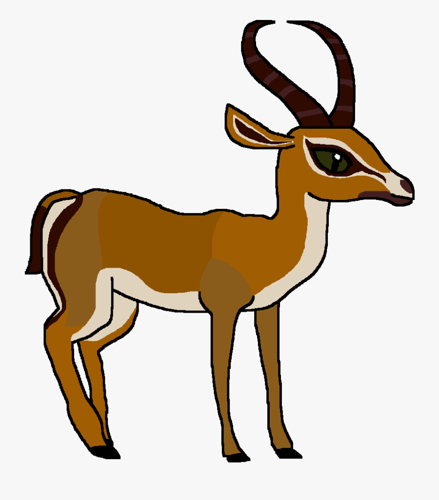Thomson' - S Gazelle - Gazelle Png, Transparent Clipart