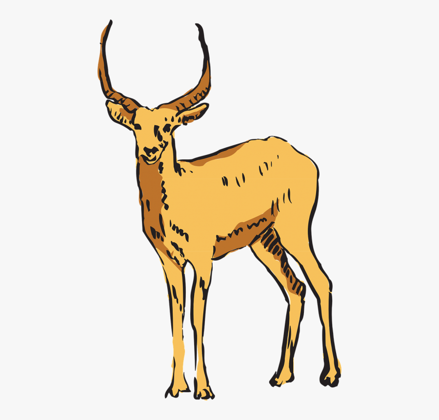 Antelope Forest Standing - Antelope, free clipart download, png, clipart , clip...