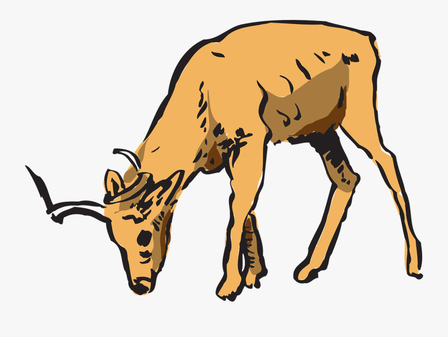 Antelope Pinart Royalty Free Stock Photo Animated - Deer Eating Clipart, Transparent Clipart