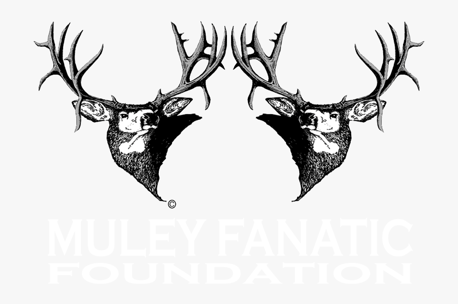 Muley Fanatics, Transparent Clipart