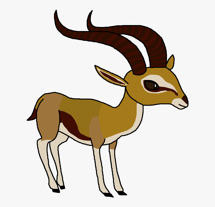 Thomson' - S Gazelle - World Of Zoo Antelope, Transparent Clipart