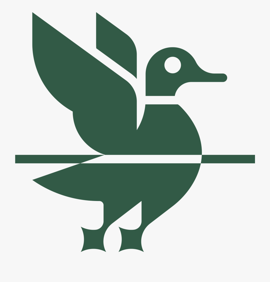 An Experiment In Telling Honest Stories About A Life - Duck, Transparent Clipart
