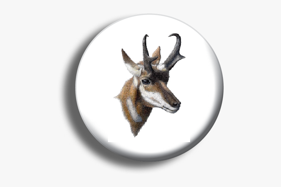 Farson"
 Class="img Responsive Owl First Image Owl, Transparent Clipart