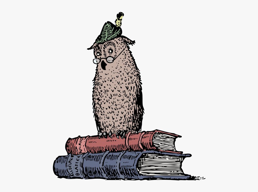 Wise Owl On Books - Ap Lang & Comp, Transparent Clipart
