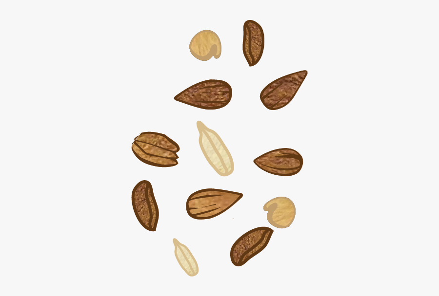 Almond, Transparent Clipart