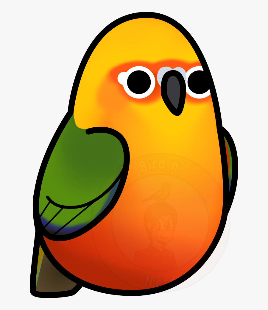 Picture Freeuse Library Too Many Birds Jenday - Cartoon Jenday Conure, Transparent Clipart