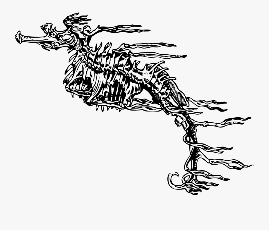 Fucus-like Seahorse Svg Clip Arts - Skeleton Seahorse, Transparent Clipart